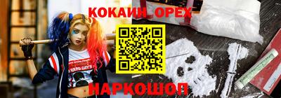 каннабис Кингисепп