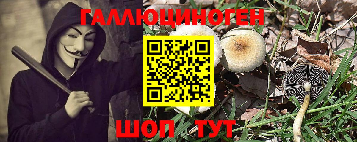 Галлюциногенные грибы MAGIC MUSHROOMS  наркотики  Псилоцибиновые грибы мицелий  Железногорск  Вход с VPN 