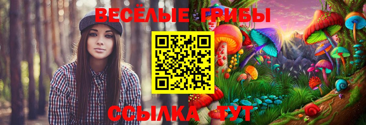 Псилоцибиновые грибы мухоморы Железногорск